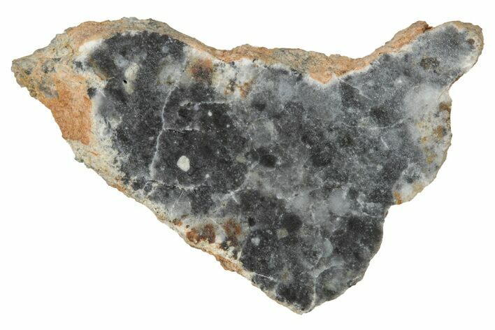 Lunar Meteorite ( g) Slice - Bechar #348227